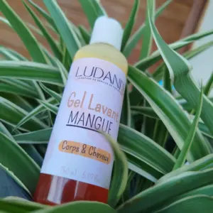 Gel lavant Mangue exotique