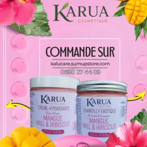 Mini pack Mangue & Hibiscus, crème 250 ml et chantilly 200 ml